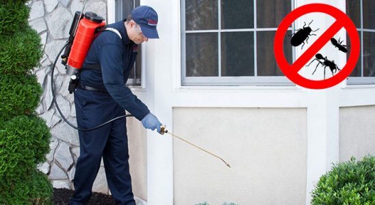 Mithatpaşa Gümüşkurt İlaçlama böcek ilaçlama ve haşere kontrolü — ilaclama-tr.com